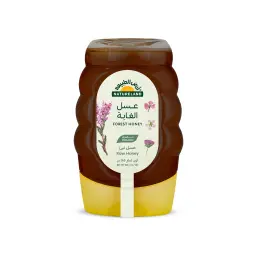 Natureland Organic Forest Honey